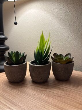 Faux succulents